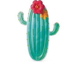 Intex Cactus Float