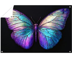 Iriserende vlinder met kleurenpracht - Vlinder posters - Tuinwanddecoratie dieren - Surrealisme - Tuin accessoires - Tuin poster - tuinposter 90x60 cm