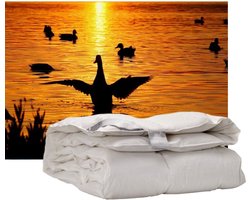 iSleep Donzen Dekbed - Enkel - 100% Dons (Warmteklasse 1) - Eenpersoons - 140x200 cm