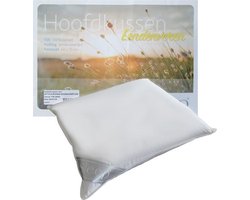 iSleep Hoofdkussen - Eendenveren - Medium - 1400 gram - 60x70 cm - Wit