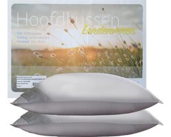 iSleep Hoofdkussen Set (2 Stuks) - Eendenveren - Stevig - 1700 gram - 60x70 cm - Wit