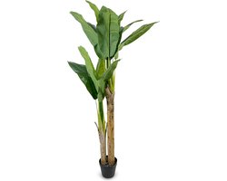 IvoQ Kunst Bananenplant 160 cm – Onderhoudsvrij, Stijlvol en Groen – Voor Elke Kamer