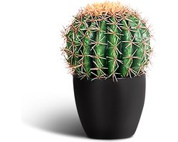 IvoQ Kunst Cactus 25 cm - Realistische Nep Cactus - Onderhoudsvrij - Voor Binnen & Buiten