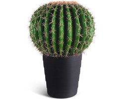IvoQ Kunst Cactus 50 cm - Realistische Nep Cactus - Onderhoudsvrij - Voor Binnen en Buiten