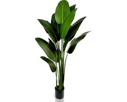 IvoQ Strelitzia Kunstplant 210 cm - Grote Paradijsvogelplant - Levensechte Nep Kamerplant voor Binnen - Onderhoudsvrij
