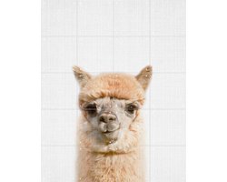 IXXI Alpaca, Lila + Lola - 80 x 100 cm - Gratis ophangtool - Grote wanddecoratie en posters - Fotografie, Speels, Realisme, Decoratieve kunsten