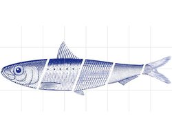 IXXI Blue Fish, HipenHanneke - 160 x 80 cm - Gratis ophangtool - Grote wanddecoratie en posters - Grafisch Ontwerp, Houtsnede, Line art, Illustraties