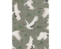 IXXI Cranes Green, Isabelle Vandeplassche & Rijksmuseum 2.0 - 60 x 80 cm - Gratis ophangtool - Grote wanddecoratie en posters - Grafisch Ontwerp