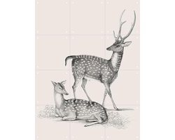 IXXI Deer light, IXXI - 60 x 80 cm - Gratis ophangtool - Grote wanddecoratie en posters - Illustraties, Vintage, Woonkamer, Natuur, Dieren, Kerst