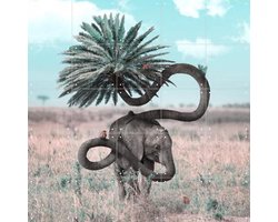 IXXI Diversity, Julien Tabet - 100 x 100 cm - Gratis ophangtool - Grote wanddecoratie en posters - Surrealisme, Speels, Digitale Kunst, Gemengde
