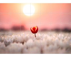IXXI Dutch Rebels Heartbreaker, Claire Droppert - 140 x 100 cm - Gratis ophangtool - Grote wanddecoratie en posters - Naturalisme, Fotografie