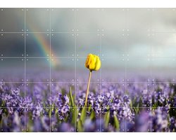 IXXI Dutch Rebels Optimist, Claire Droppert - 140 x 100 cm - Gratis ophangtool - Grote wanddecoratie en posters - Fotografie, Naturalisme, Slaapkamer