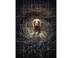 IXXI Keeper of the Earth, Ruslan Bolgov & Various - 100 x 140 cm - Gratis ophangtool - Grote wanddecoratie en posters - Fotografie, Slaapkamer