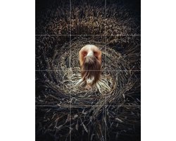 IXXI Keeper of the Earth, Ruslan Bolgov & Various - 60 x 80 cm - Gratis ophangtool - Grote wanddecoratie en posters - Fotografie, Slaapkamer