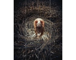 IXXI Keeper of the Earth, Ruslan Bolgov & Various - 80 x 100 cm - Gratis ophangtool - Grote wanddecoratie en posters - Fotografie, Slaapkamer