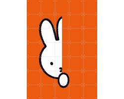 IXXI Nijntje Verstoppertje Oranje, Dick Bruna & Nijntje - 100 x 140 cm - Gratis ophangtool - Grote wanddecoratie en posters Kinderkamer, Babykamer
