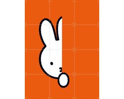 IXXI Nijntje Verstoppertje Oranje, Dick Bruna & Nijntje - 60 x 80 cm - Grote wanddecoratie en posters Babykamer, Kinderkamer, Baby, Kinderen