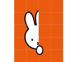 IXXI Nijntje Verstoppertje Oranje, Dick Bruna & Nijntje - 80 x 100 cm - Grote wanddecoratie en posters Babykamer, Kinderkamer, Baby, Kinderen