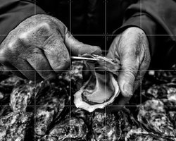 IXXI Oyster Farmer, Manu Allicot & Various - 100 x 80 cm - Gratis ophangtool - Grote wanddecoratie en posters - Vintage, Klassiek, Fotografie