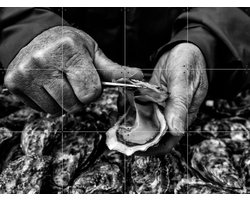 IXXI Oyster Farmer, Manu Allicot & Various - 80 x 60 cm - Gratis ophangtool - Grote wanddecoratie en posters - Vintage, Klassiek, Fotografie
