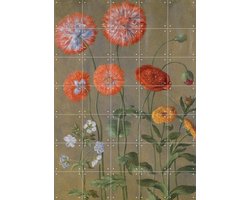 IXXI Poppies, Johann Jakob Walther & Victoria and Albert Museum - 100 x 140 cm - Gratis ophangtool - Grote wanddecoratie en posters - Naturalisme