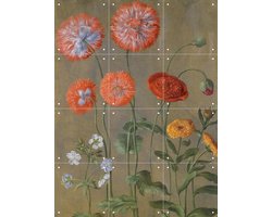 IXXI Poppies, Johann Jakob Walther & Victoria and Albert Museum - 60 x 80 cm - Gratis ophangtool - Grote wanddecoratie en posters - Naturalisme