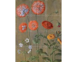 IXXI Poppies, Johann Jakob Walther & Victoria and Albert Museum - 60 x 80 cm - Gratis ophangtool - Grote wanddecoratie en posters - Realisme