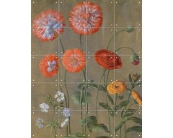 IXXI Poppies, Johann Jakob Walther & Victoria and Albert Museum - 80 x 100 cm - Gratis ophangtool - Grote wanddecoratie en posters - Naturalisme