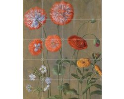 IXXI Poppies, Johann Jakob Walther & Victoria and Albert Museum - 80 x 100 cm - Gratis ophangtool - Grote wanddecoratie en posters - Realisme