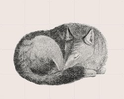 IXXI Sleeping Fox light, IXXI - 100 x 80 cm - Gratis ophangtool - Grote wanddecoratie en posters - Houtsnede, Vintage, Line art, Illustraties