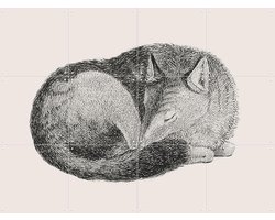 IXXI Sleeping Fox light, IXXI - 80 x 60 cm - Gratis ophangtool - Grote wanddecoratie en posters - Houtsnede, Vintage, Line art, Illustraties