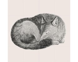 IXXI Sleeping Fox light, IXXI - 80 x 80 cm - Gratis ophangtool - Grote wanddecoratie en posters - Houtsnede, Vintage, Line art, Illustraties