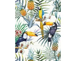 IXXI The Toucan Family, Creative Lab Amsterdam - 60 x 80 cm - Gratis ophangtool - Grote wanddecoratie en posters - Illustraties, Kleurrijk, Aquarel