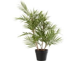 J-line - Bergpalm In Pot Plastiek Groen/zwart Small - 50x50x84cm