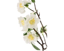 J-Line bloesemboom - kunststof - wit/bruin - medium