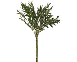 J-Line bundel 5 Olijftak - textiel - groen