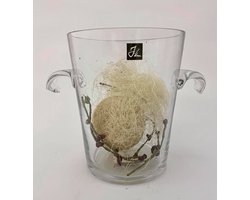 J-Line Champagne - en wijn emmer in transparant glas 14x11x17cm