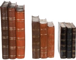 J-Line decoratie Boeken - polyresin - bruin - large