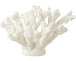 J-Line decoratie Koraal - polyreisn - wit - medium