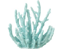 J-Line decoratie Koraal - polyresin - azuur - small