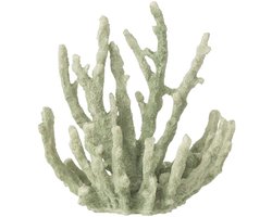 J-Line decoratie Koraal - polyresin - muntgroen - medium - 3 stuks
