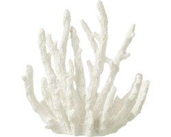 J-Line decoratie Koraal - polyresin - wit - small