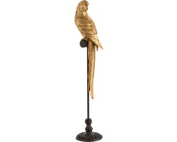 J-Line decoratie Papegaai - polyresin - goud/bruin - small