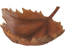 J-Line decoratie Plateau Blad Herfst - polyresin - bruin