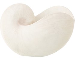 J-Line decoratie Schelp - polyresin - wit