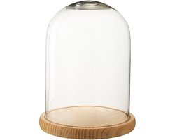 J-Line decoratie stolp - glas - naturel - large