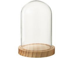 J-Line decoratie stolp - glas - naturel - small