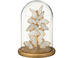 J-Line decoratie Stolp Vlinder - glas - wit/goud - medium