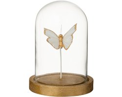 J-Line decoratie Stolp Vlinder - glas - wit/goud - small