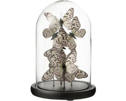 J-Line decoratie Stolp Vlinder - glas - zwart/wit - medium